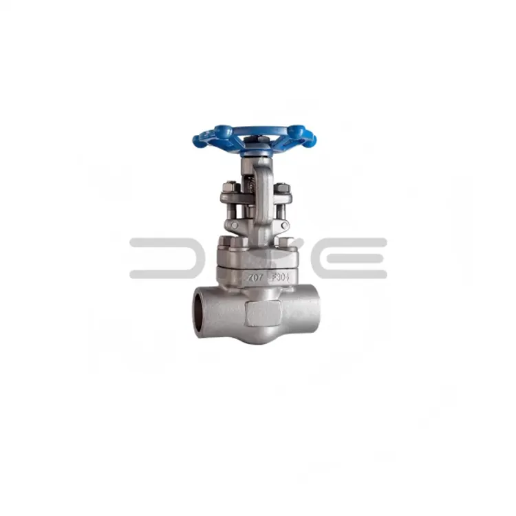 Forged Steel F304 F316 Stainless Steel Flange Gate Valve