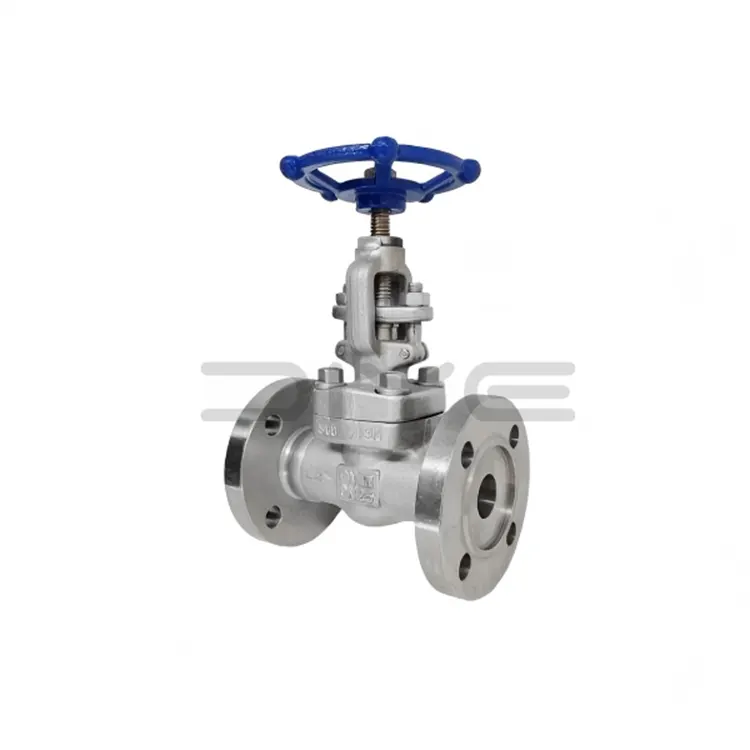 Ditempa Steel Flange Globe Valves